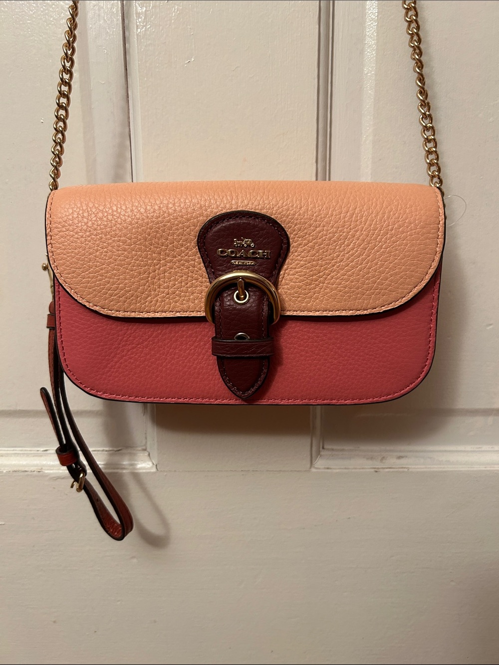 Coach Kleo Crossbody Wristlet bag - NWT